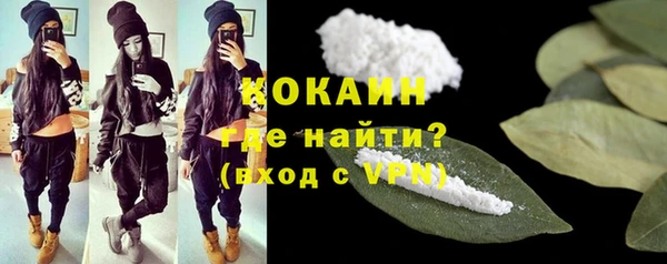 крисы Карпинск