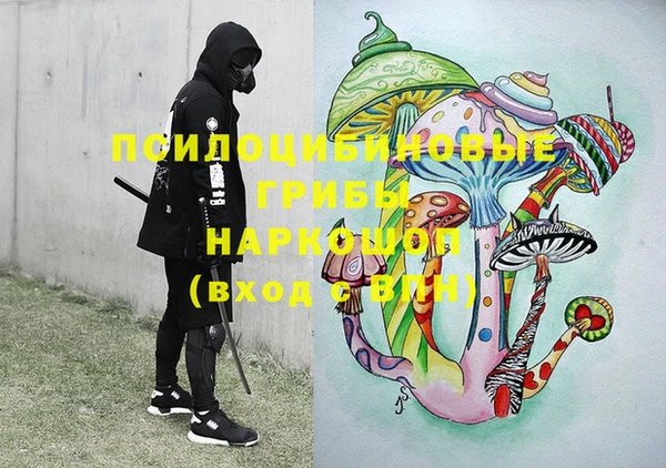 крисы Карпинск