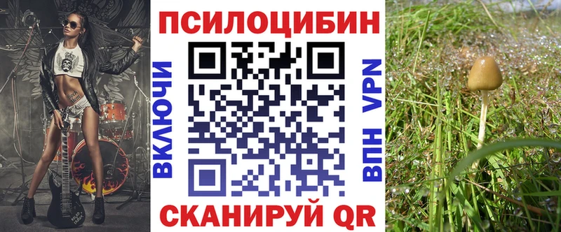 Псилоцибиновые грибы мухоморы  Купить закладки  Балтийск 